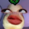 anhth7080