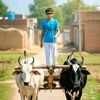 aashik.don.35