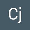 cj.rj31