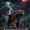 strongd