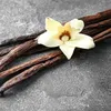 Vanilla - utiidades domésticas
