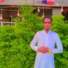 hamsecali3