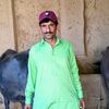 hussain.mangrio05