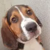 stella.severin5