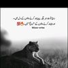 queenfatima2342
