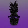 EXOTIC G KK