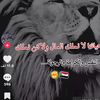 user5148165125440