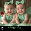 user65083829151343