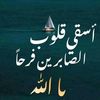 user83335593946227