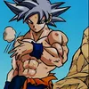 user5026571560569
