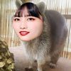 momo.chan147
