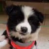 tereza.pirata