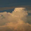 tgcbc__