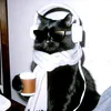 kay_catlovers