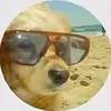 urmydawg16