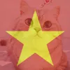 tongtai_itnoi