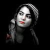 shahsawartypist