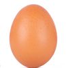 egg9569