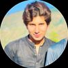 ibrahim.jani5603