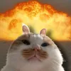 pittyy._.meusanpirate