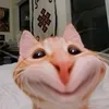 بـُصلايةة🐾.