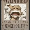 moneyplayz011