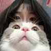 CHIeN