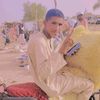 user86752091254074