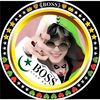 bigoboss804