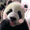 pandaaaaa936