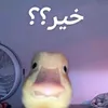 sjsh.jcxj