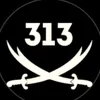 .313419894