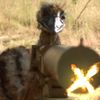 wildman5829