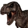 daily.trex.yap