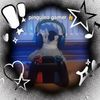 el.pinguino.gamer4