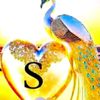 md.sakil.islam6737