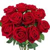 user6632009259463