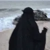 lajan.muslima