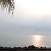 ginaa_221