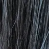 palmtfh