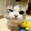 meetsyoumr