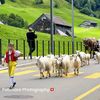 gulsaleemkhan7