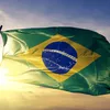 Avante Brasil 🇧🇷