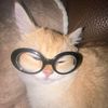 shapka228_assasin