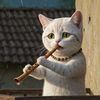 cat.funny652