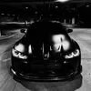 carvibes774