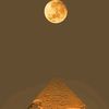 noura.ahmed2875