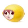 durudoan80