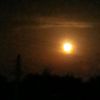 moonlight1319
