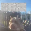 johnsnowlol2